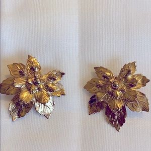 Pair clip on earrings